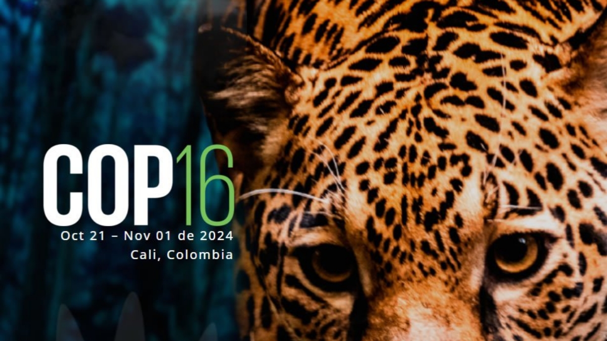 COP16: Reversing Nature Loss