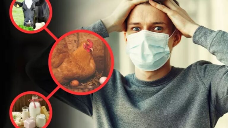 Bird Flu Outbreak Raises Global Concerns